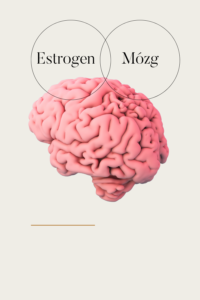 mozg i estrogen